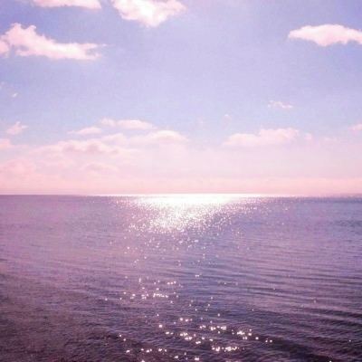 ag真人平台官方