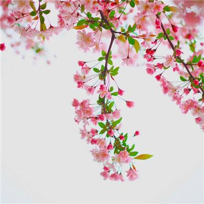 BB贝博平台登录app手机app下载